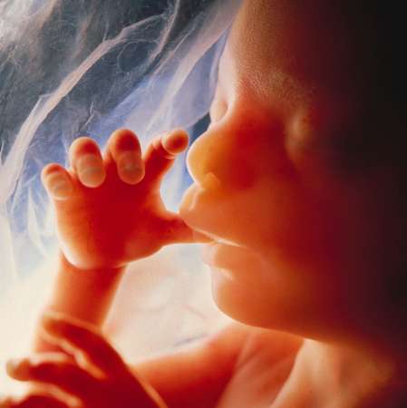 The unborn child at 18 weeks gestation. 600 babies are aborted daily in the UK - some, up to and even during birth, with the full force of British law. 7 million have been aborted since abortion was made legal and some have had up to 8 legal abortions. 