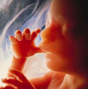 The unborn child at 18 weeks gestation. 600 babies are aborted daily in the UK - some, up to and even during birth, with the full force of British law. 7 million have been aborted since abortion was made legal and some have had up to 8 legal abortions.
